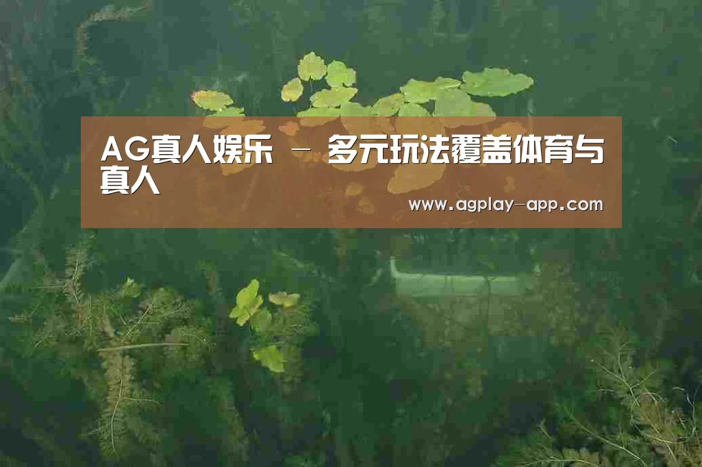 案例展示三(图1)