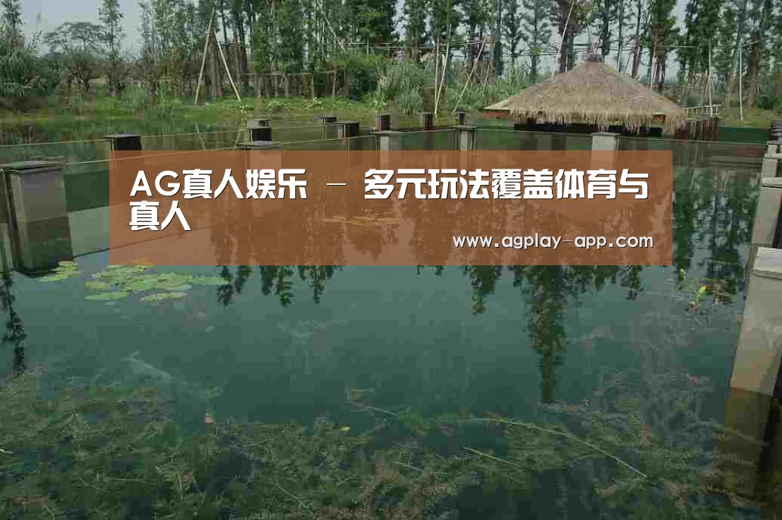 案例展示二(图1)