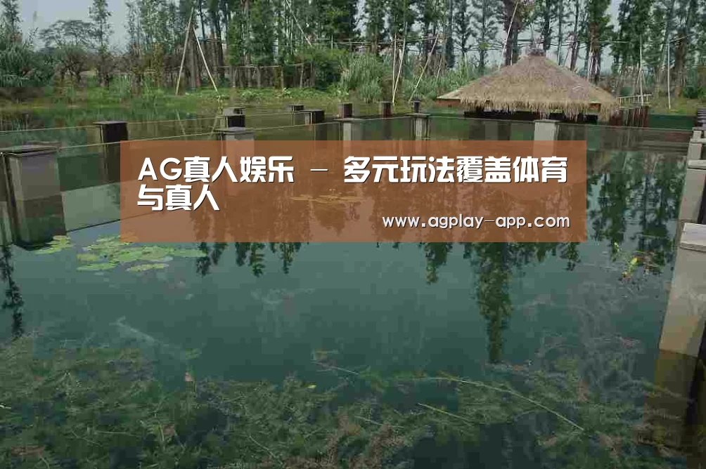 案例展示二