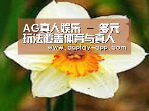 产品名称四