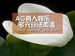 产品名称七