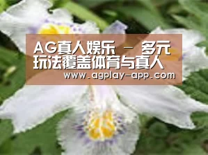 产品名称二