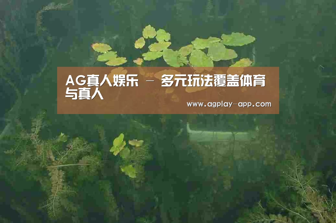 案例展示三