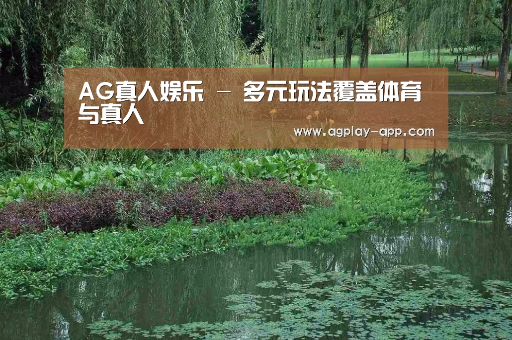 案例展示一