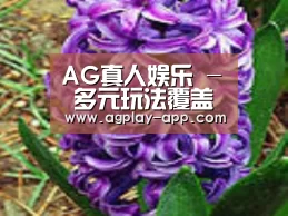 产品名称八