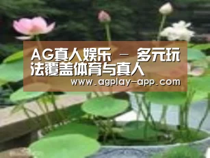 产品名称一