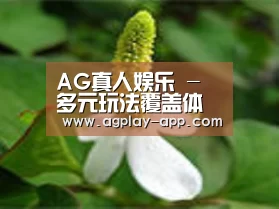 产品名称三