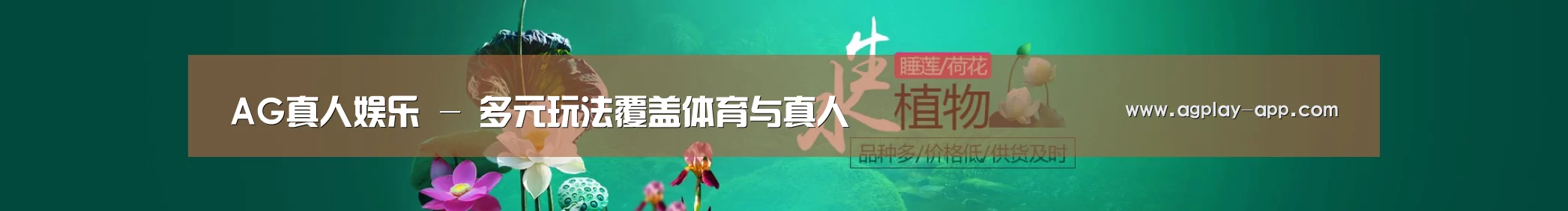 鲜花水草花卉网站模板