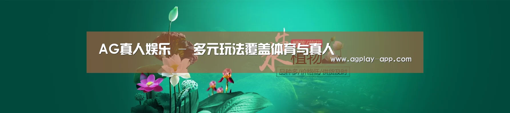 鲜花水草花卉网站模板