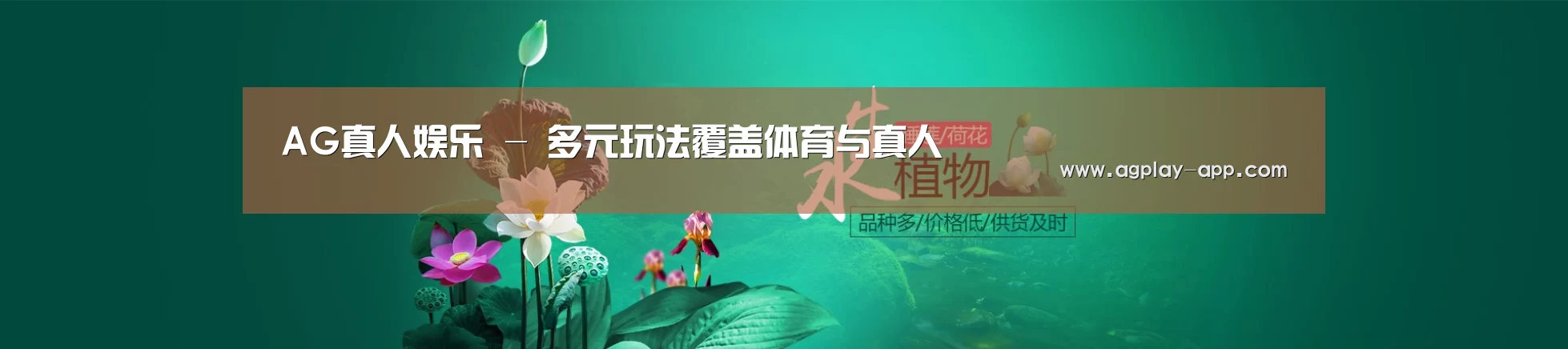 鲜花水草花卉网站模板