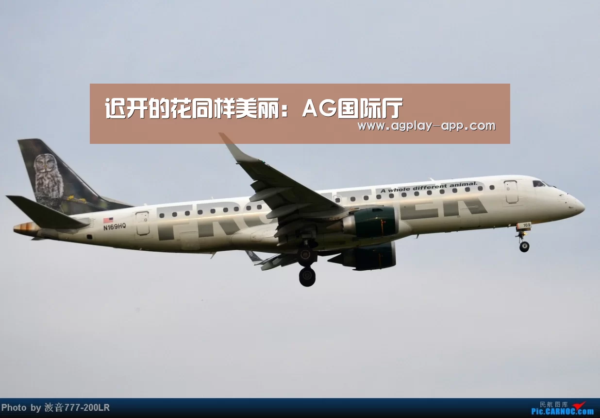 迟开的花同样美丽:AG国际厅(图3) AG国际厅