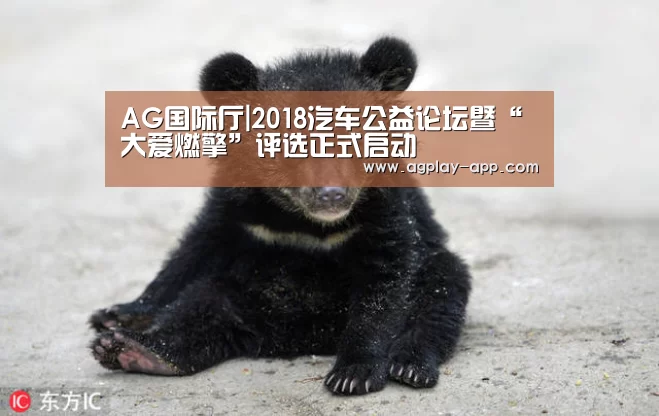 AG国际厅|2018汽车公益论坛暨“大爱燃擎”评选正式启动(图1) AG电竞