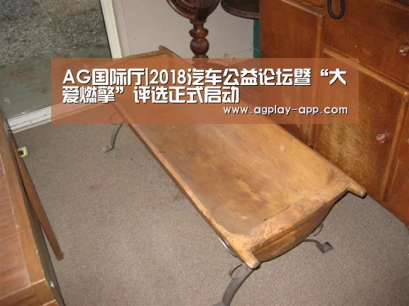 AG国际厅|2018汽车公益论坛暨“大爱燃擎”评选正式启动(图3) AG电竞