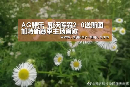 AG娱乐_勒沃库森2-0送斯图加特新赛季主场首败(图3) AG官方
