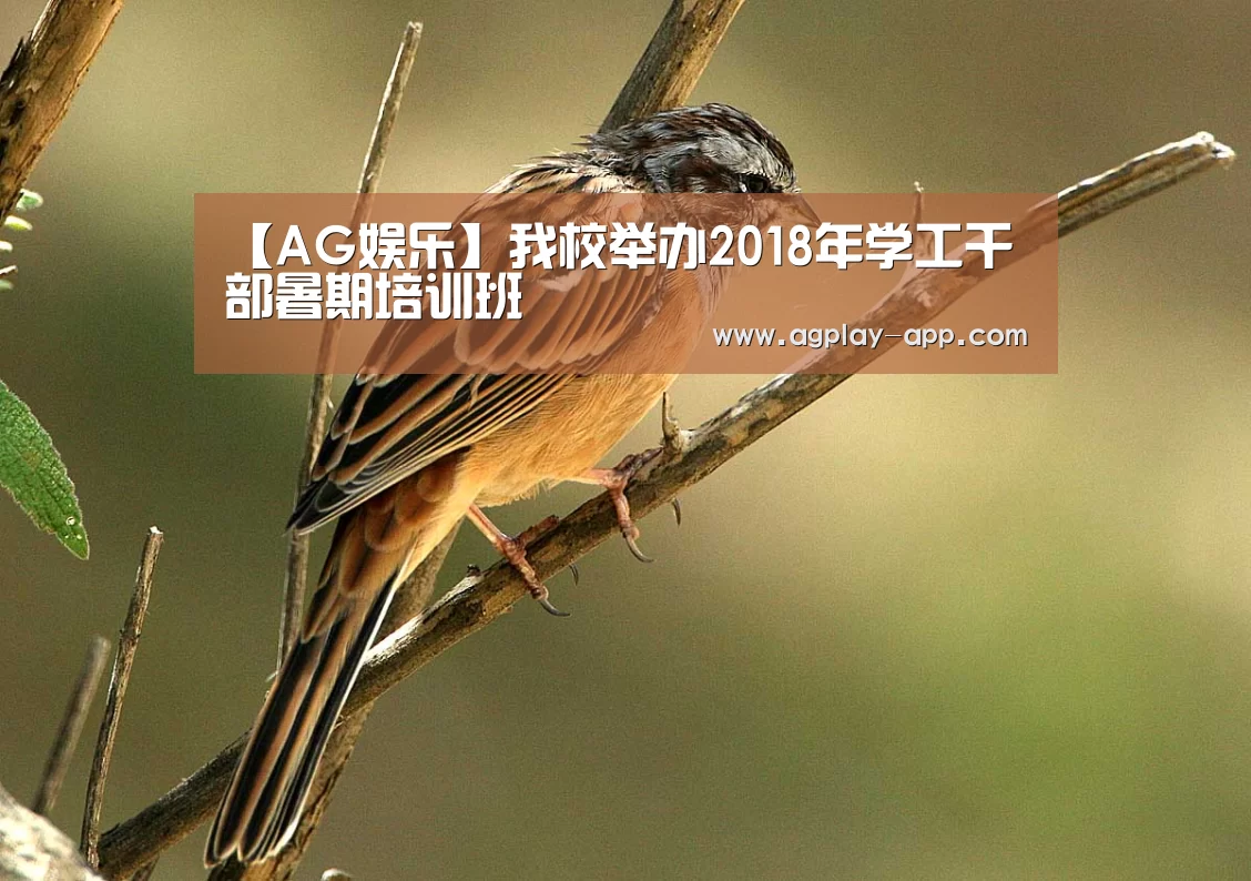 【AG娱乐】我校举办2018年学工干部暑期培训班(图2) AG娱乐