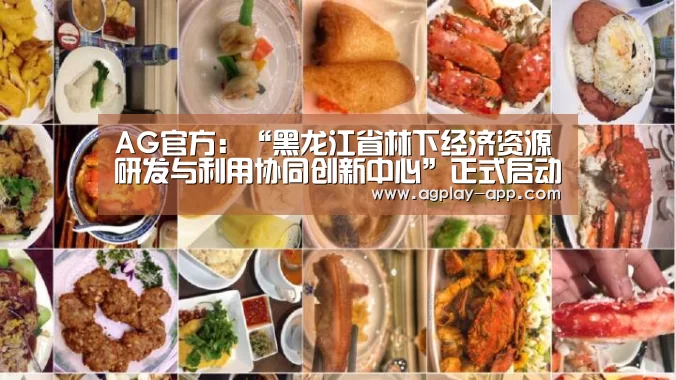 AG官方:“黑龙江省林下经济资源研发与利用协同创新中心”正式启动(图3) AG官方