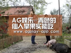 AG娱乐-青色的仙人掌果实能吃吗?有什么功效作用?(图3) AG电竞