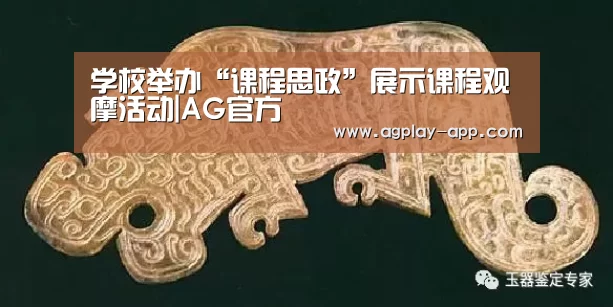 学校举办“课程思政”展示课程观摩活动|AG官方(图2) AG电竞