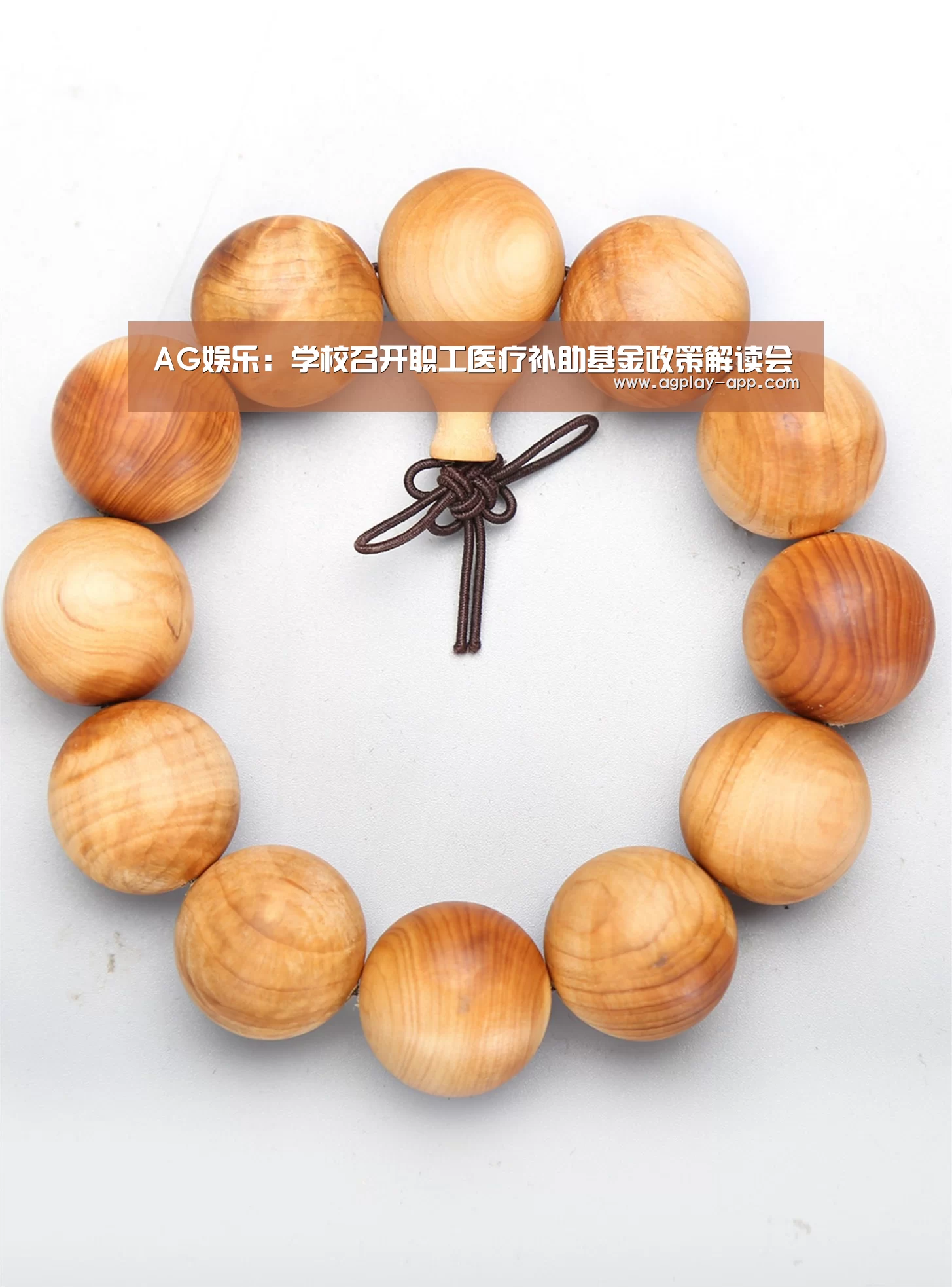 AG娱乐:学校召开职工医疗补助基金政策解读会(图4) AG电竞