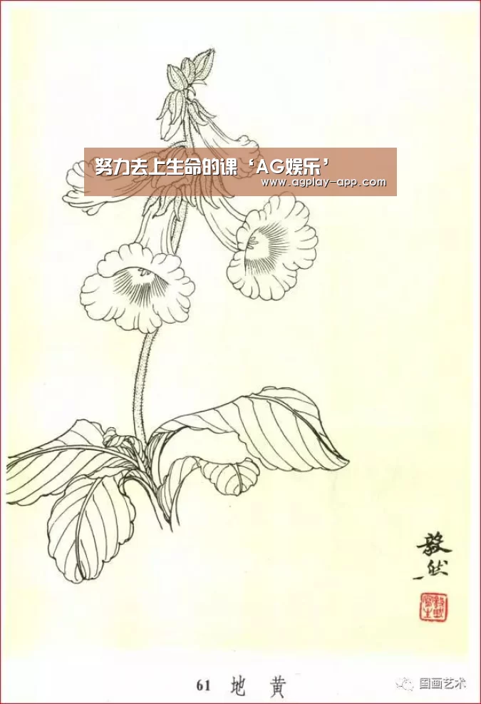 努力去上生命的课‘AG娱乐’(图4) AG电竞