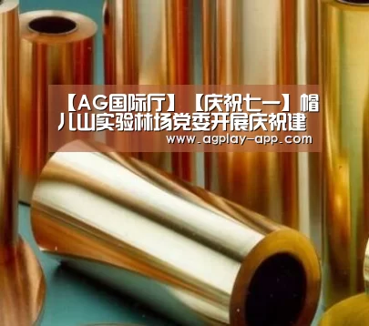 【AG国际厅】【庆祝七一】帽儿山实验林场党委开展庆祝建党97周年党员活动(图3) AG国际厅