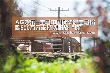 AG娱乐-宝马中国及华晨宝马捐款500万元支持沈阳战“疫”(图4) AG娱乐